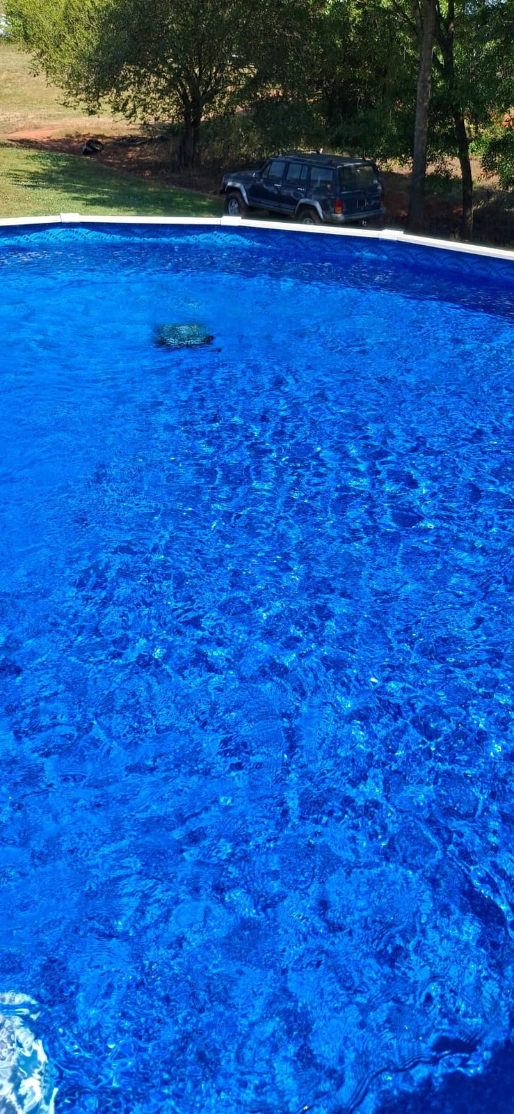 Wybot C2 Cordless Pool Vacuum for Inground Pools, Robotic Pool Cleaner customer photo 1