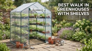 best walk in greenhouses with shelves
