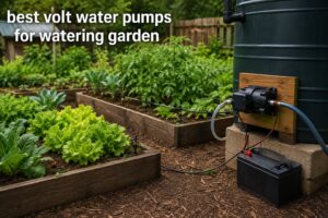 best 12 volt water pumps for watering garden