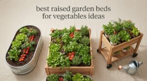 best raised garden beds for vegetables ideas