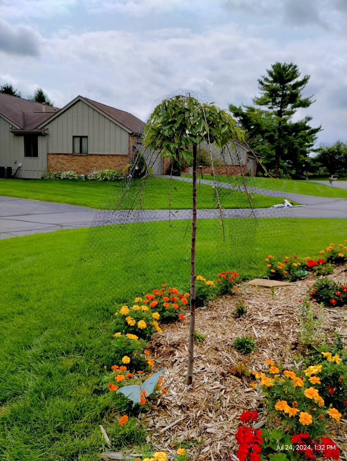Dalen Deer-X Protective Netting for Gardens & Landscapes - 7 ft x 100 ft customer photo 2