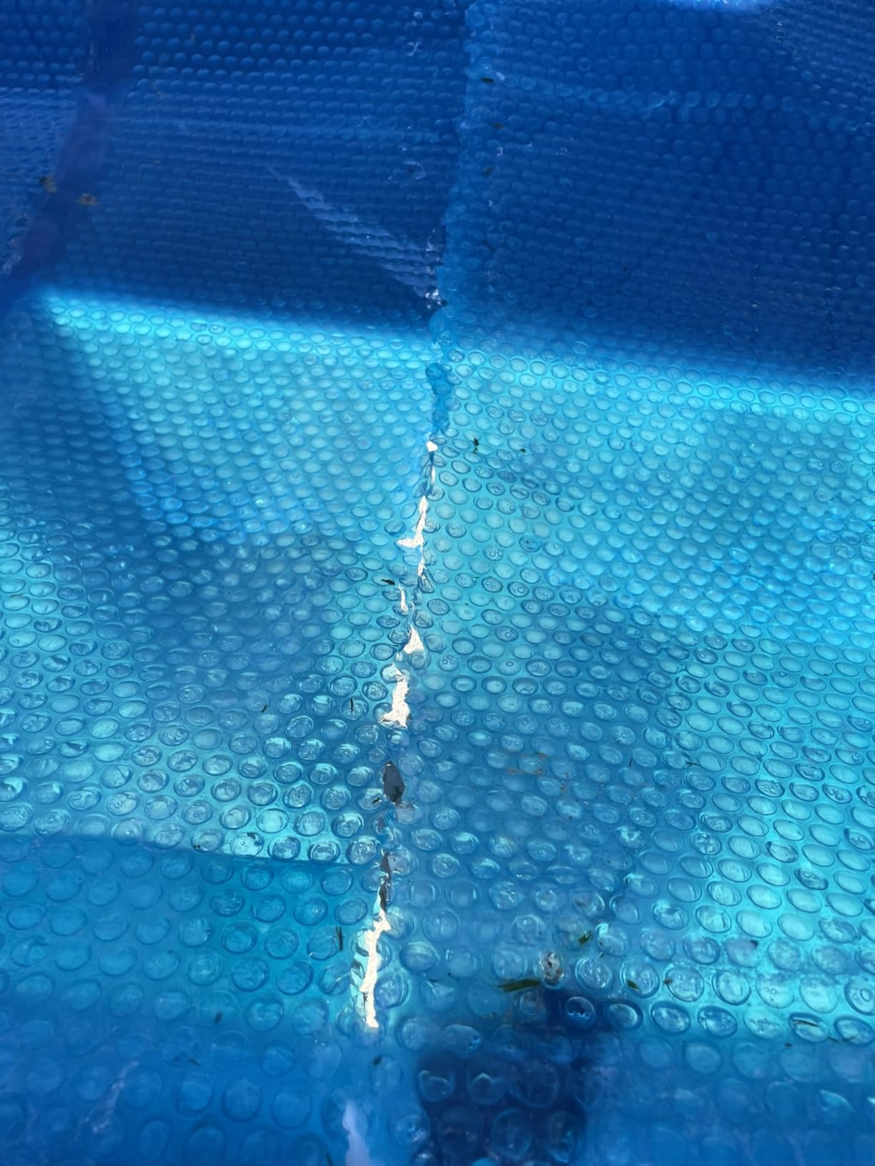 Blue Wave NS405 12-mil Solar Blanket for Rectangular In-Ground Pools, 12-ft x 24-ft, Blue customer photo 1