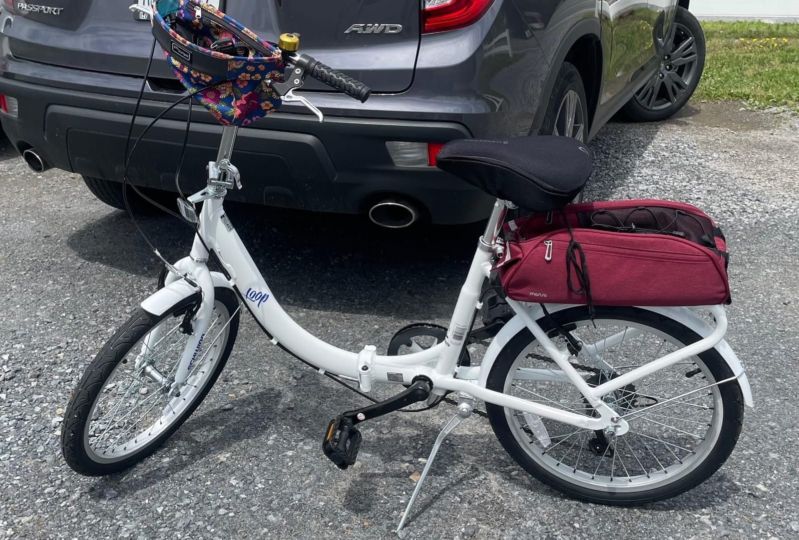 Schwinn Loop customer photo 2