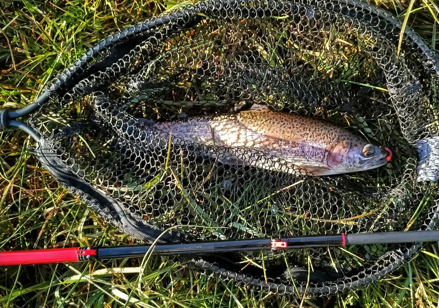 DRAGONtail Tenkara - Shadowfire 365 Tenkara Rod customer photo 1
