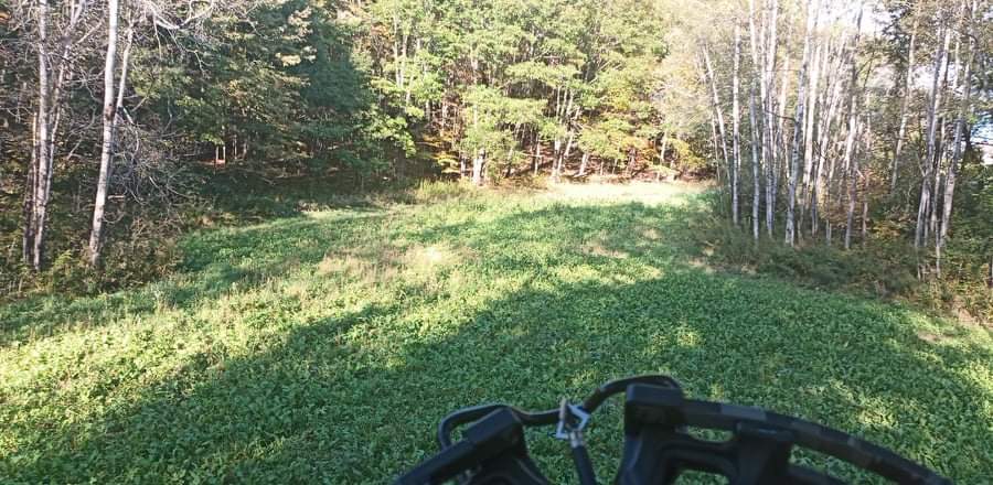 Evolved Harvest 7 Card Stud Adaptive Food Plot Seed - Full Season High-Protein & Minerals Forage for Deer customer photo 2