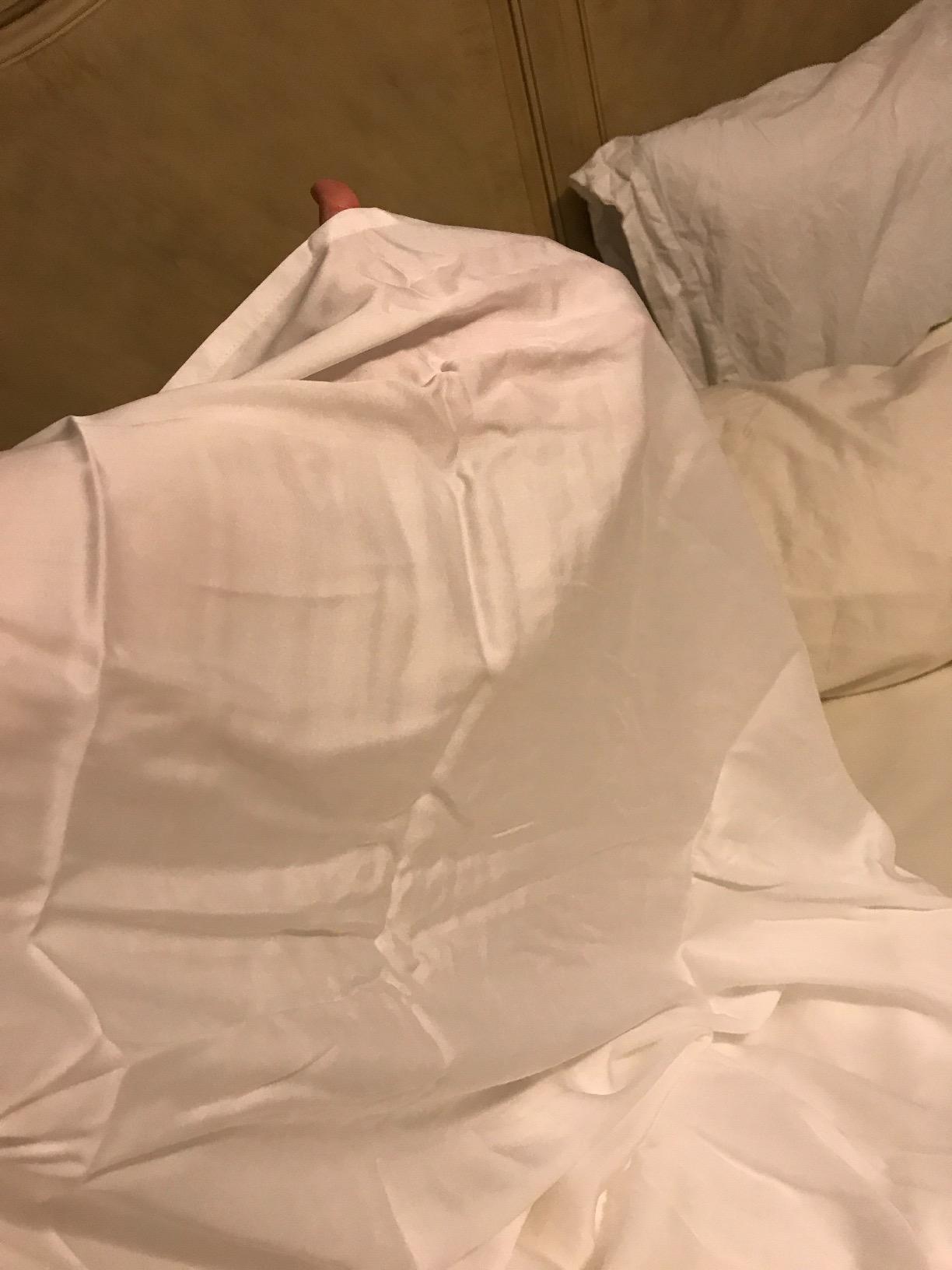 Hotel Sheets Direct 4 Piece Bed Sheet Set King Size, 100% Viscose Derived from Bamboo Sheets Set with 2 Pillowcases, Cooling & Breathable Luxury Bedding, Moisture-Wicking & Silky Soft Texture, White customer photo 2