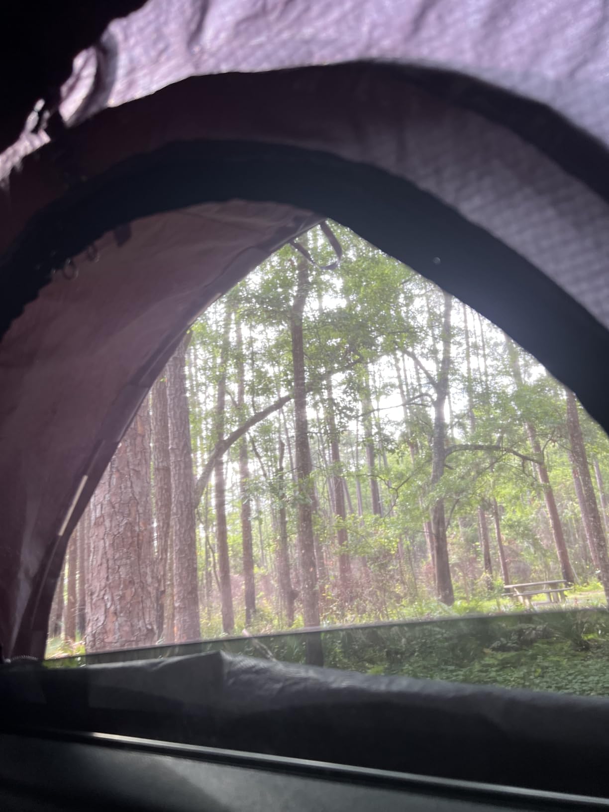 ROADIE- The OVERNIGHTER SUV Window Tent with Bug Screen and Retractable Awning – Great for Camping in an SUV. (Patented) customer photo 2