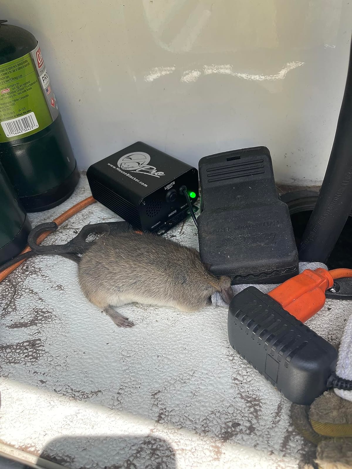 MouseBlocker Prox Plug-in Rodent Deterrent customer photo 2