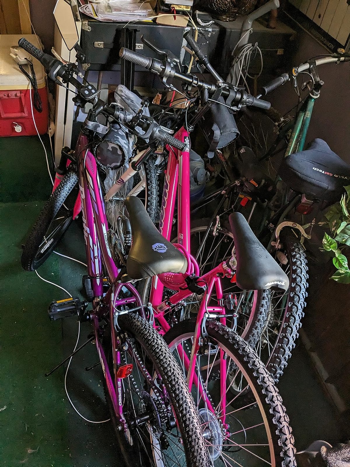 Dynacraft Magna Echo Ridge Mountain Bike – Rugged and Durable Design, Perfect for Teens and Adults Learning to Ride, Sturdy and Easy to Assemble, Ideal for Adventurers customer photo 1
