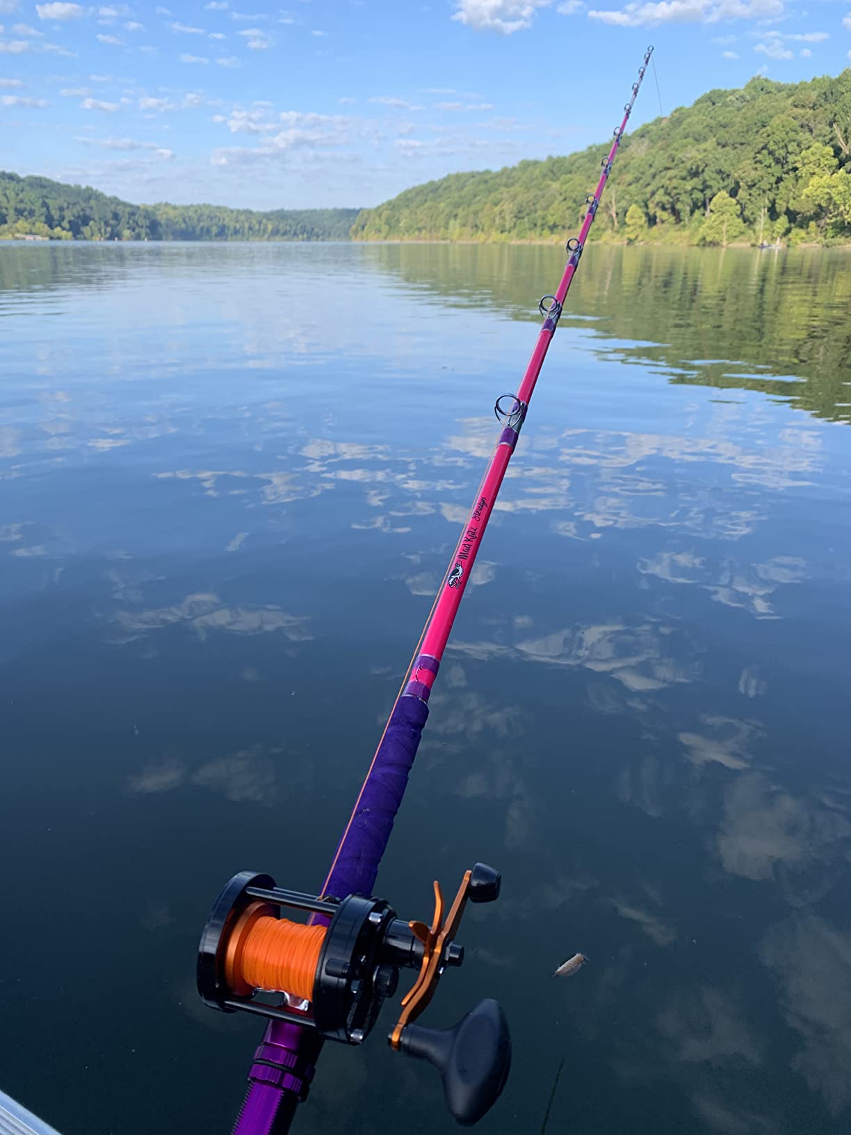Catfish Pro Tournament Series Casting Rod - 7'6
