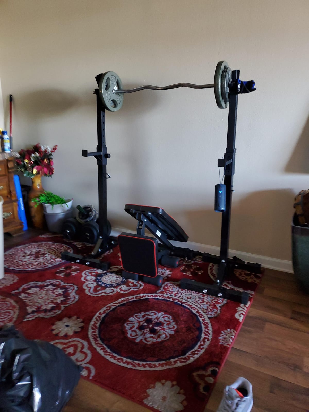 ANT MARCH Pair of Adjustable Height 40