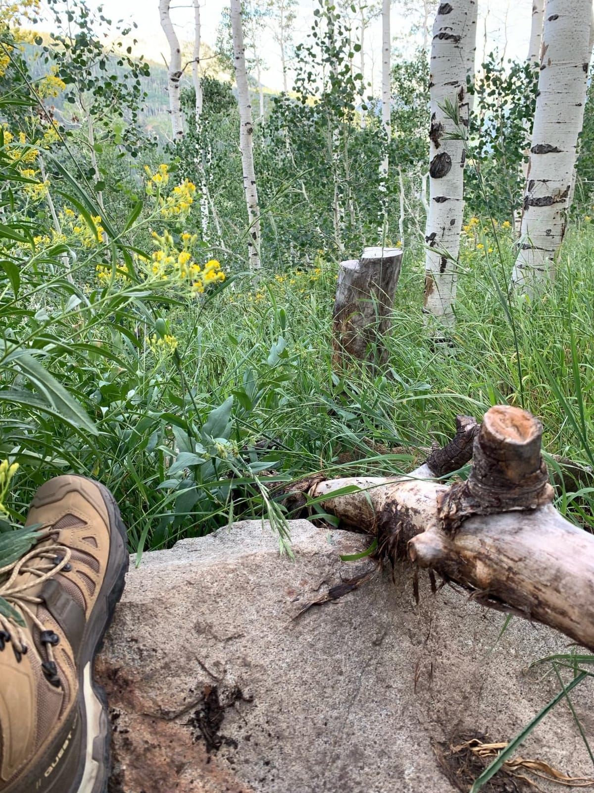 Salomon Quest 4 GTX® customer photo 1
