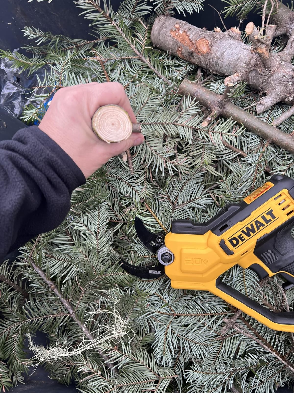 DEWALT 20V MAX Pruning Shears Garden Tool, Cordless, Bare Tool Only (DCPR320B) customer photo 1
