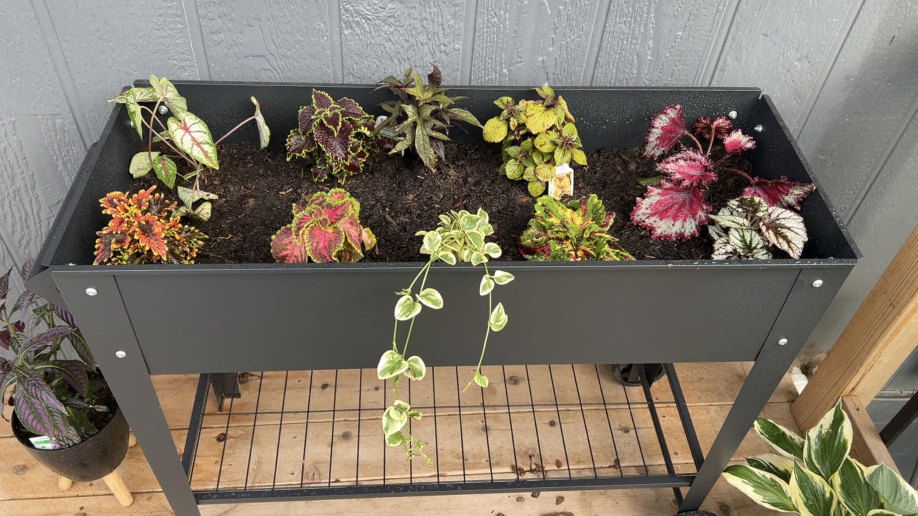 LEETOLLA 32-Inch Elevated Raised Garden Bed with Wheels and Storage Shelf customer photo 2