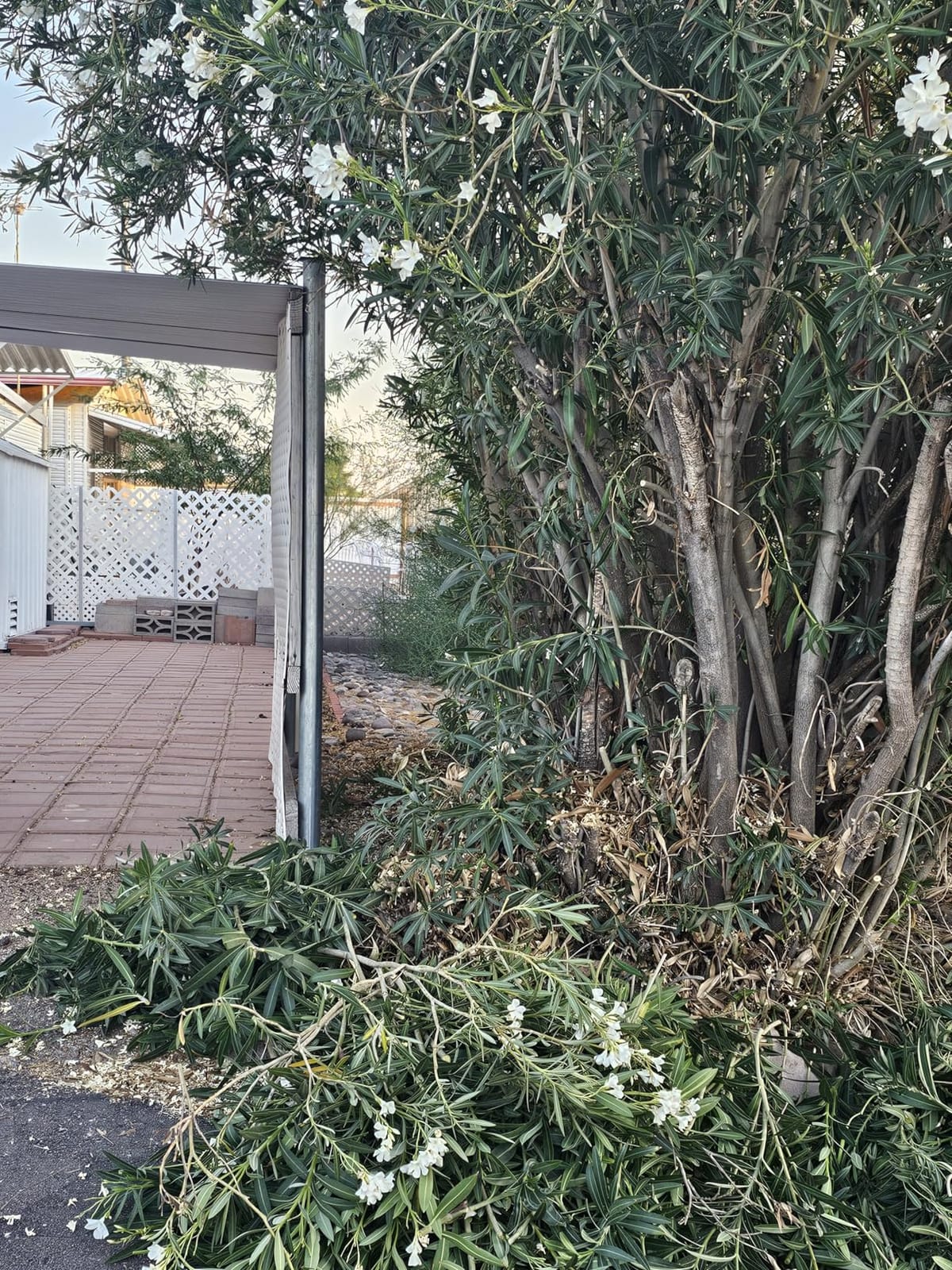 WORX Cordless Pruning Shear, 20V Powered Lopper, WG330 customer photo 1