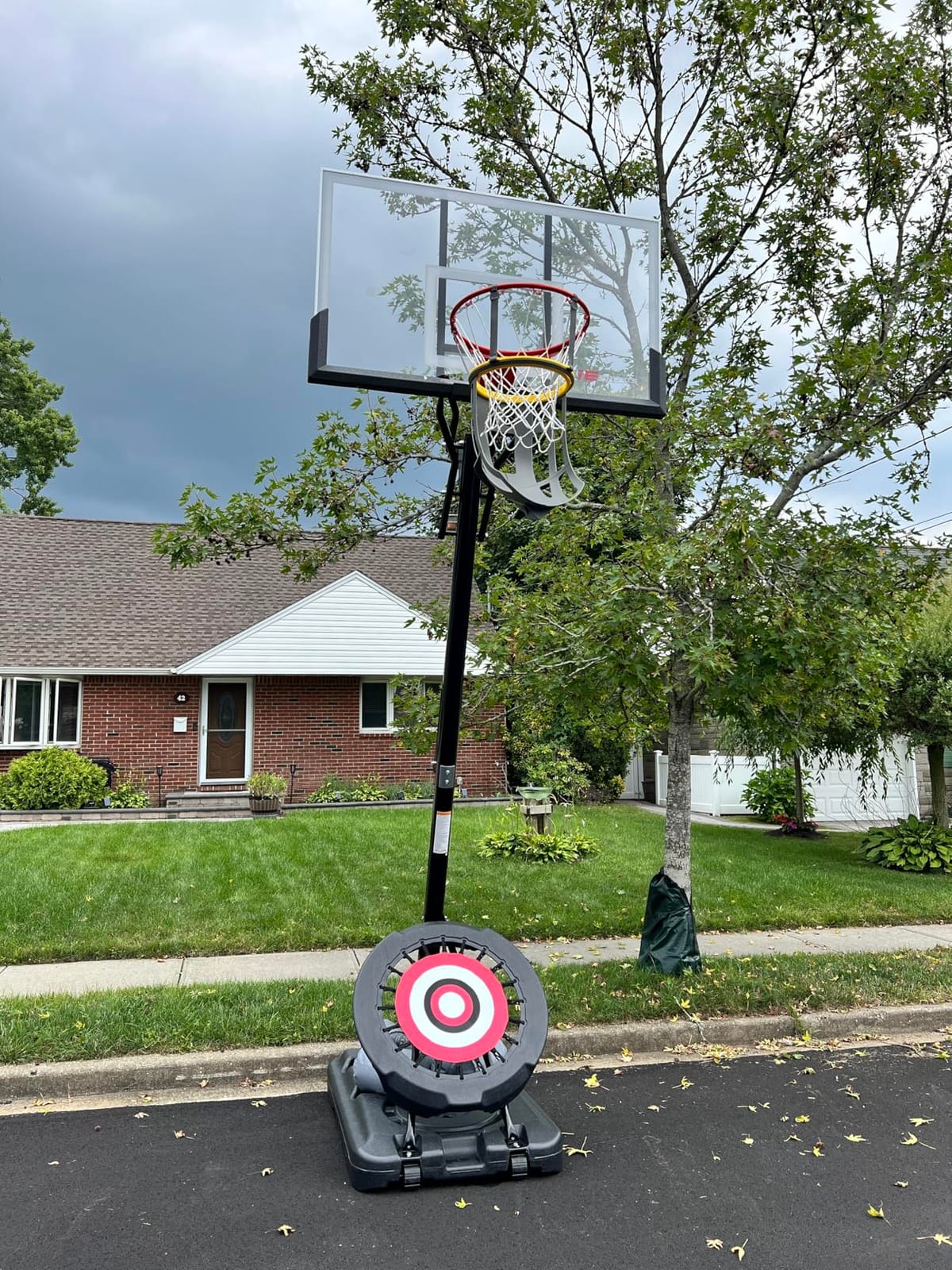 IE Sports Portable Basketball Hoop - Indoor and Outdoor Hoops Game Equipment for Backyard, Driveway, and Garage customer photo 2