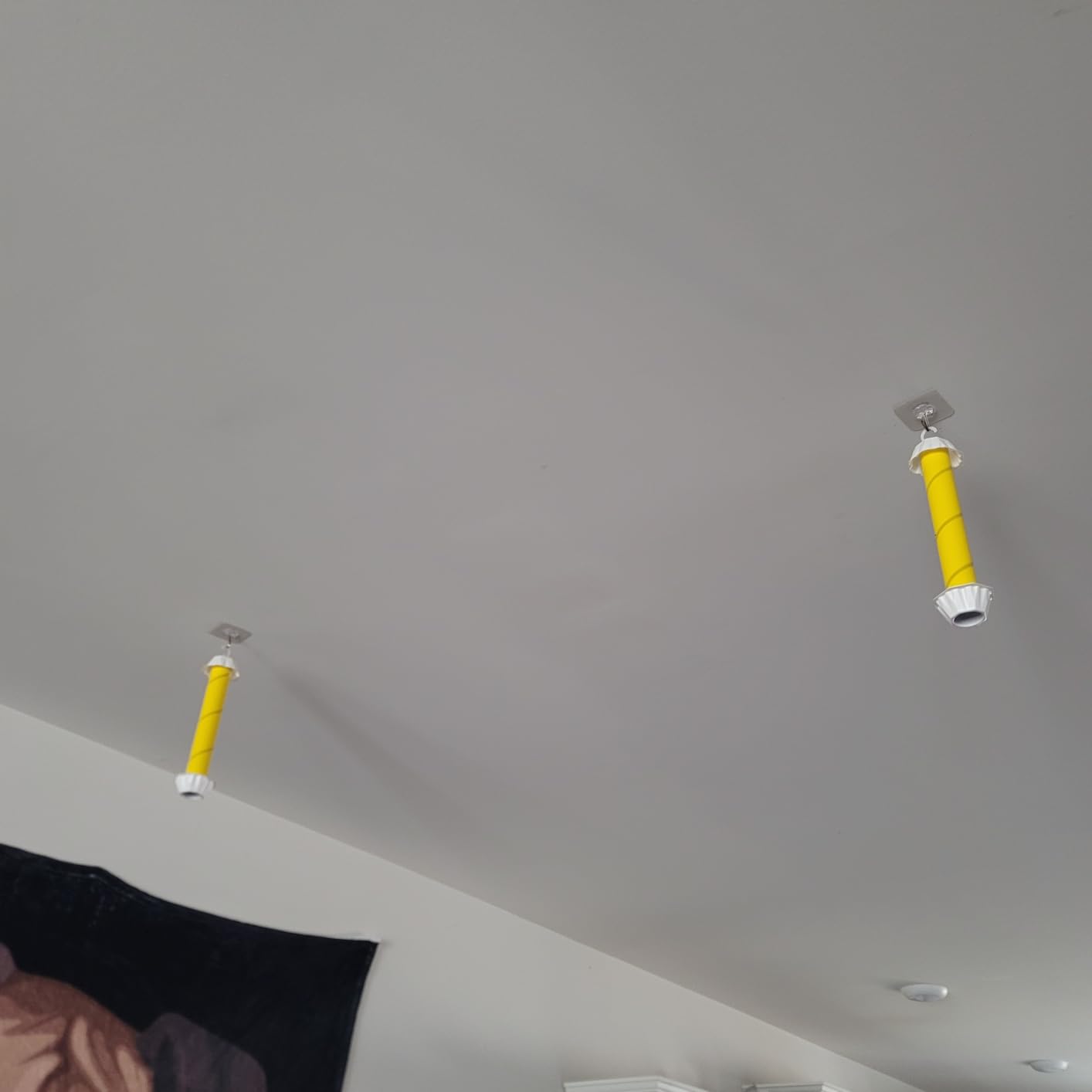 Fly Stick Sticky Fly Traps for Indoors Outdoor 6pk. Non-Toxic Super Sticky Hanging Flies Catcher Paper Tape Strips for Home. Catches All Bugs and gnats. Indoor Outdoor House Flying Insect Trap. customer photo 1