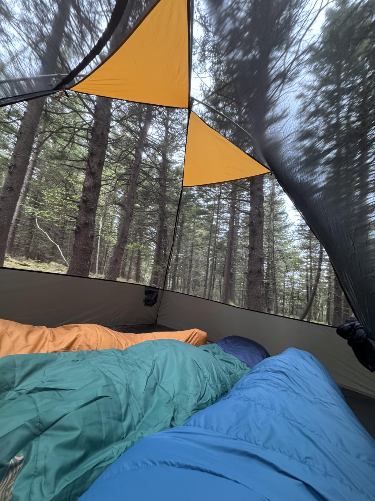 Kelty Cosmic 20 Down Mummy Sleeping Bag for Backpacking, Campers, 550 Fill Power, Recycled Fabrics with PFAS-Free DWR, Designed in Sunny Colorado, customer photo 1
