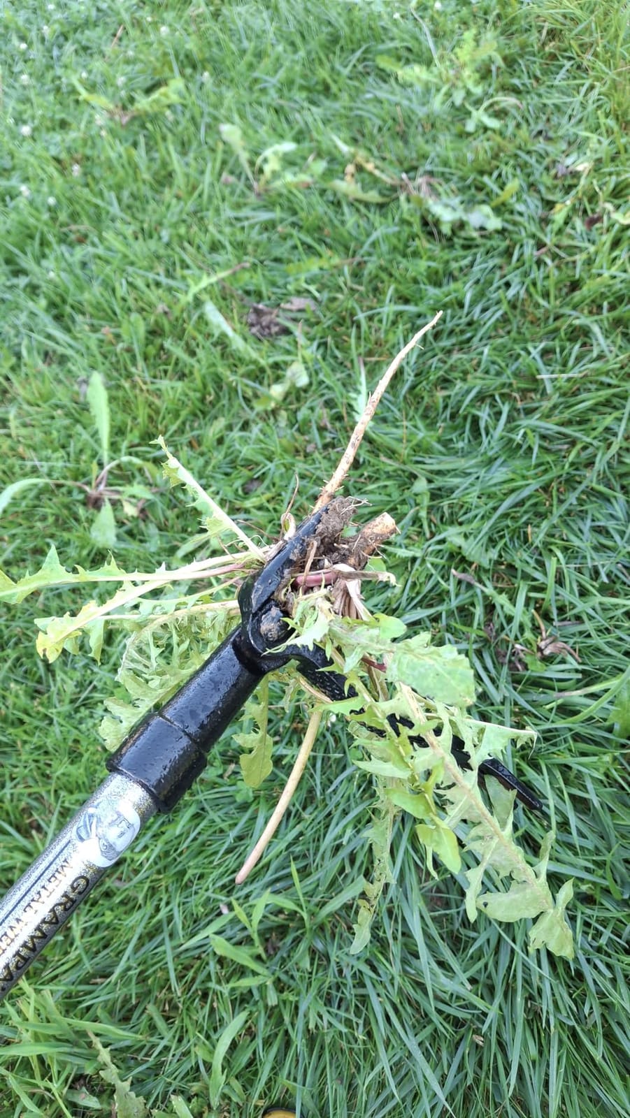 Grampa's Weeder Stand Up Weed Puller Tool with Heavy-Duty Steel Long Handle customer photo 2