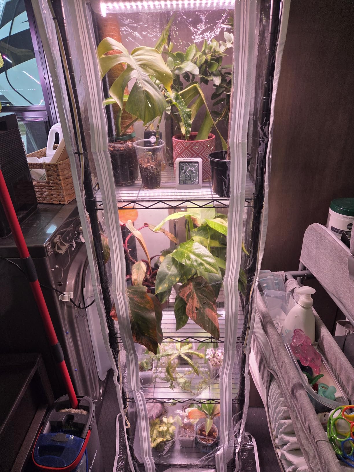 Indoor Greenhouse with Grow Lights 40W , 15.7