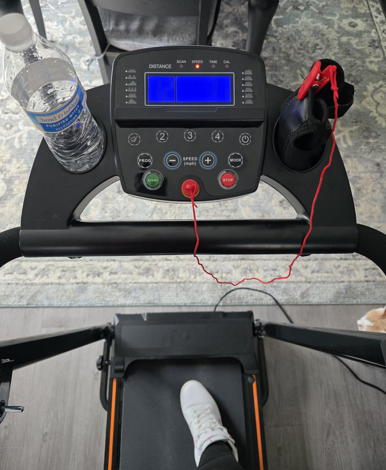 Redliro Treadmill for Seniors with Long Handrail-Walking Treadmill for Home customer photo 2