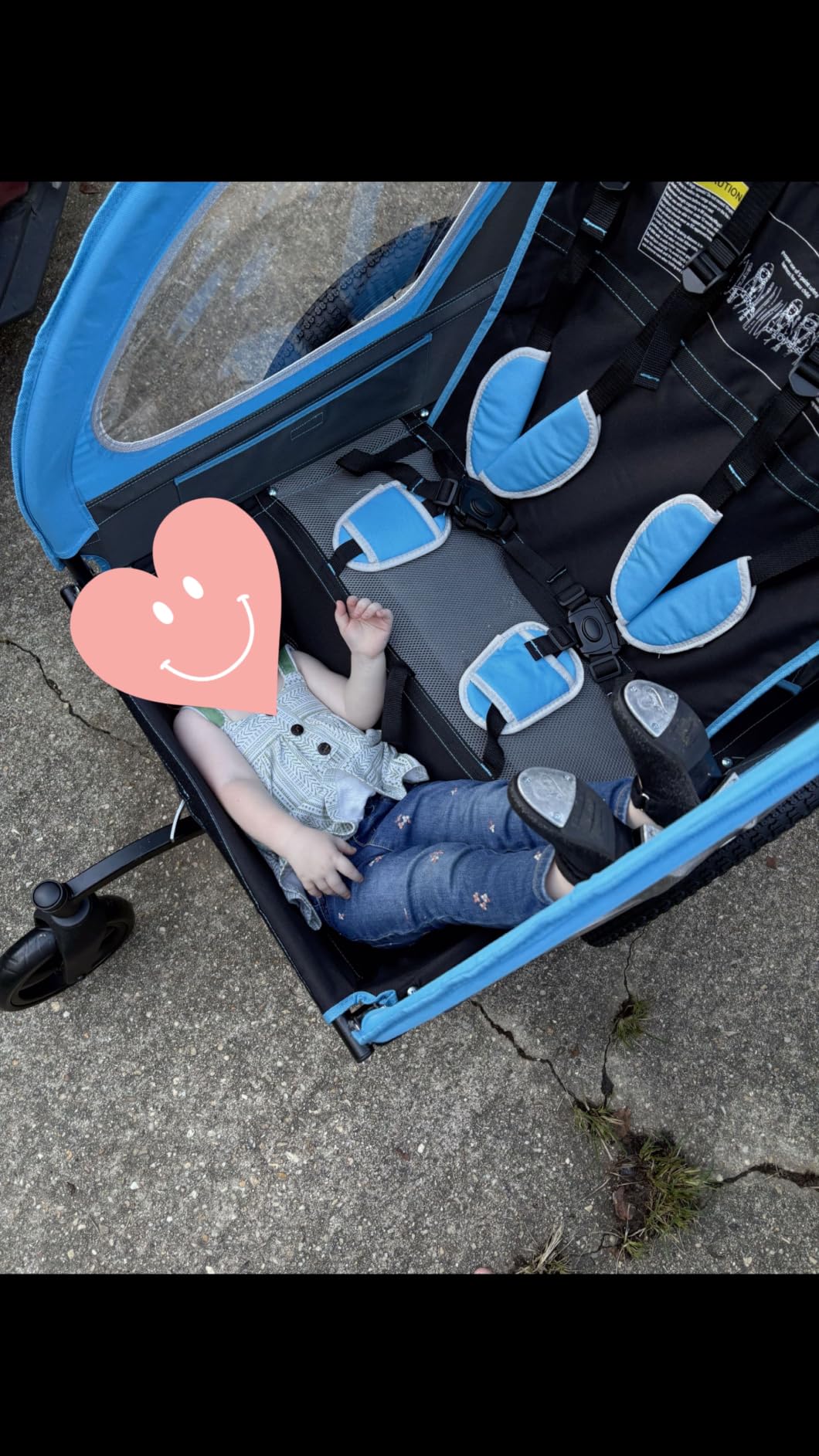 Sepnine Kids Bike Trailer, 2 in1 Canopy Carrier Converts to Pushcart Suitable for 1 to 2 Toddlers, Kids, Quick Attach to Bike, Foldable, with 5-Point Harness and Storage Bags customer photo 1