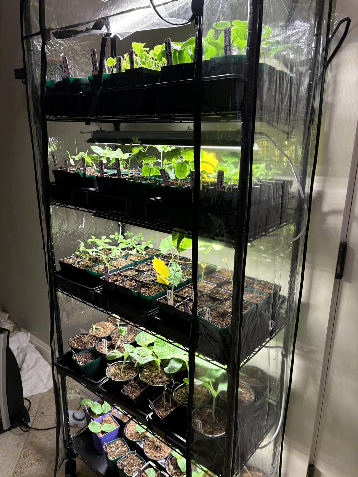 5-Tier Greenhouse with Grow Light, Shelf Height Adjustable Metal Shelf customer photo 1