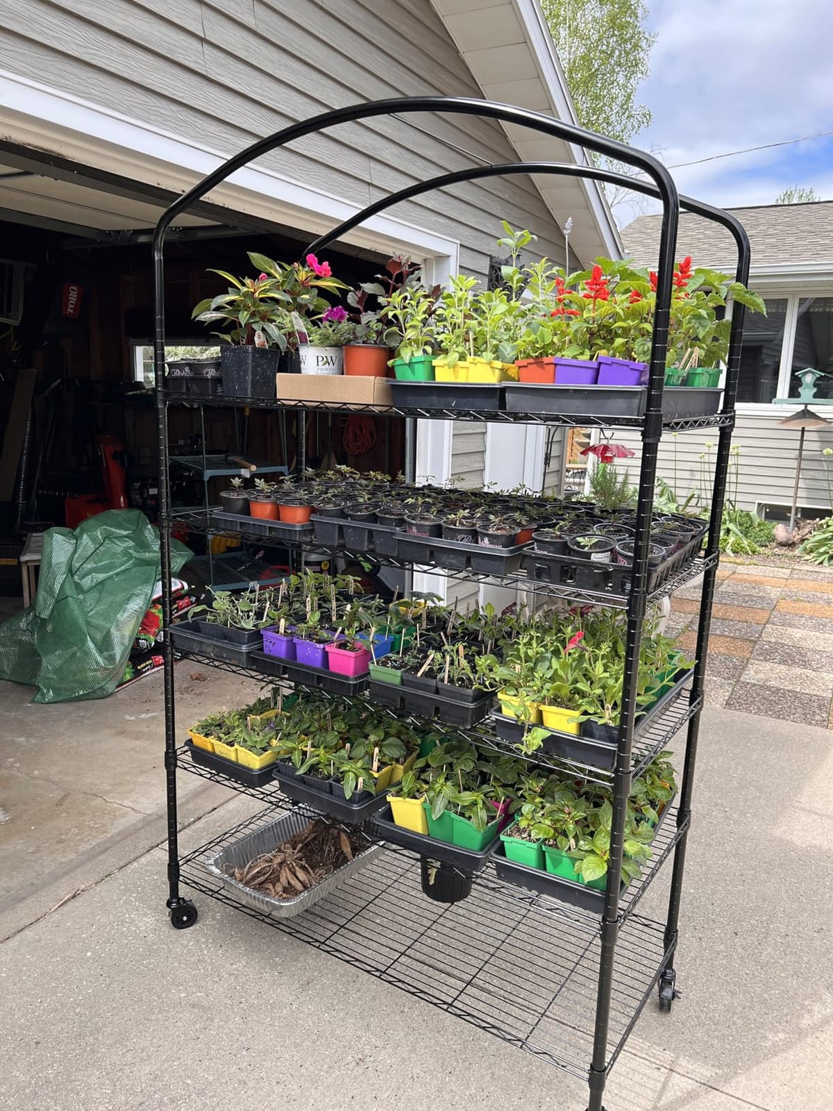 5-Tier Greenhouse with Grow Light, Shelf Height Adjustable Metal Shelf customer photo 2