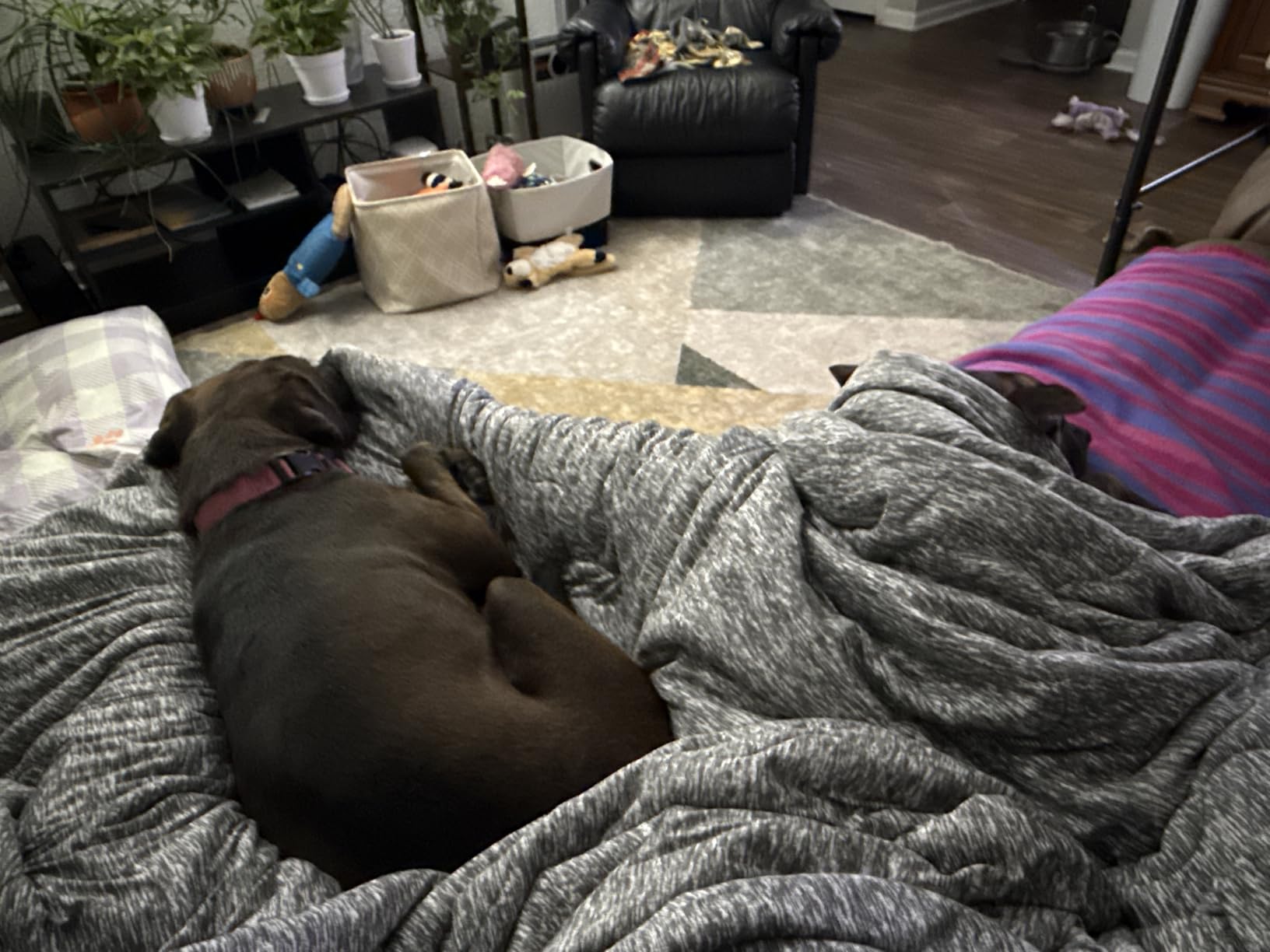 Snuggle Sac Cooling Comforter Queen Size – Q-Max 0.43 Striped Cooling Blanket for Hot Sleepers&Night Sweats, Light Breathable Summer Blanket, Dual-Sided Silk-Smooth, 90x90 Inches, Haze Blue customer photo 1