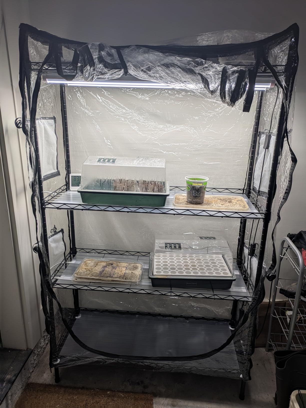 JESLED Indoor Greenhouse with Grow Light, 29.5x13.8x70IN customer photo 2